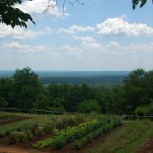  Monticello